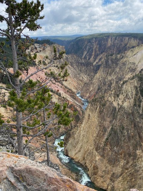 The Grand Canyon of the Yellowstone is a must visit with kids when visiting Yellowstone National Park. Read our guide to visiting this section of the park. Yellowstone Volcano, Yellowstone Trip, Lake Village, Visit Yellowstone, Rock Springs, Natural Bridge, Clear Lake, The Grand Canyon, Big Family