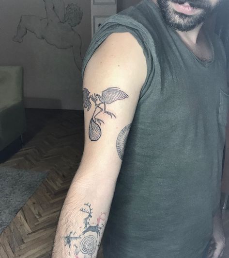 Yasin Er on Instagram: “Archaeopteryx . #tattsontheroad #minimalism #minimal #linework #lineworktattoo #minimaldesign #tattoomobile #tattooist #basictta…” Archaeopteryx Tattoo, Archaeopteryx Fossil, Fossil Tattoo, Dino Tattoos, Leg Sleeve, Line Work Tattoo, Leg Sleeves, Animal Facts, Minimal Design