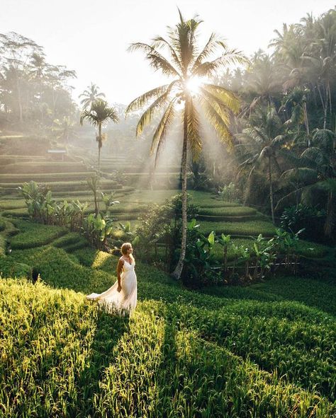 Bali Waterfalls, Ubud Indonesia, Bali Itinerary, Outdoor Structure, Bali Vacation, Bali Travel Guide, Bali Beaches, Gili Island, Bali Hotels