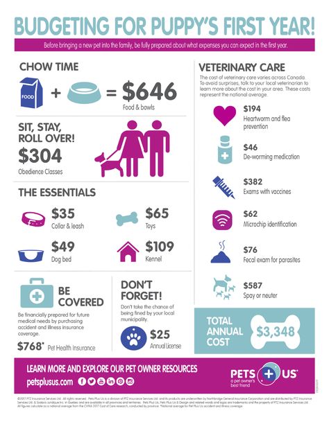 Dog Infographic, Spoiled Baby, New Puppy Checklist, Puppy Checklist, Easy Dog Treat Recipes, Puppy Time, Easy Dog Treats, Puppy Treats, Puppy Stuff