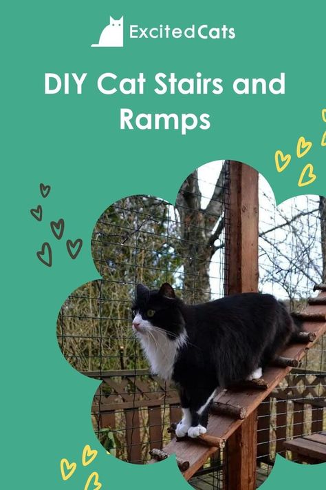 Diy Cat Stairs, Ramps And Stairs, Miniature Chihuahua, Excited Cat, Catio Ideas, Cat Ramp, Cat Projects, Cat Ladder, Cat Stairs