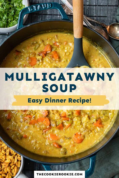 Mulligatawny Soup Recipe, Mulligatawny Soup, Indian Soup, Touch Of Spice, Coconut Milk Soup, Apple Soup, Lentils And Rice, Cucumber Tomato Salad, Curry Spices