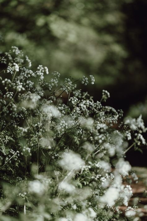 Countryside Tones photo by Annie Spratt (@anniespratt) on Unsplash Eco Friendly Cleaning Products, Eco Friendly Kitchen, Green Valley, Green Lifestyle, Eco Friendly Clothing, Simple Green, Organic Skincare, Nature Plants, Eco Friendly House