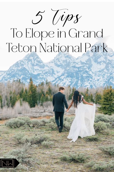 So, you've made the decision to elope! I'm guessing you've never done this before, so here are some tips to help you get started planning your dream elopement in Grand Teton National Park! From choosing your perfect location, to obtaining permits you might need, this short sweet guide should help you get a confident start! Outdoor Elopement, National Park Wedding, May Weddings, Engagement Photo Poses, Outdoor Wedding Decorations, Rustic Country Wedding, Ceremony Location, Jackson Hole, Wedding With Kids