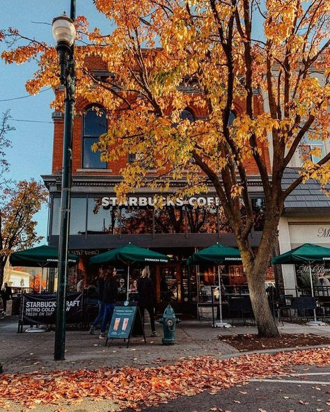 Starbucks Outside, Walla Walla Washington, Pumpkin Chai, Oregon Washington, Walla Walla, A Pumpkin, Oregon, Washington, The Outsiders