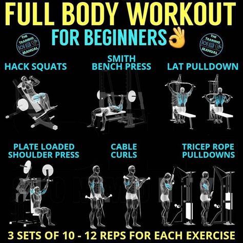 Full Body Workout For Men, Best Workouts For Men, Machine Workouts, Gym Workout Plan For Women, Work Out Routines Gym, Gym Poster, Full Body Workout Routine, At Gym, Gym Workouts For Men