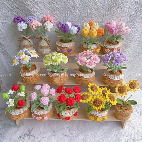 Crochet flower pot, Mother's Day gifts collection, DM for orders🌸🌸 #mothersday #monthersdayflower #giftsformom #crochetsunflowers #crochetlily #crochetflowerpatterns #crochet #flowershop #giftstorher #lilyrosyflower #flowerpot #crochetflowerpot #crochetpot #flowerformom #gifts #flower Crochet Potted Flowers, Crochet Mini Flower Pot, Flower Pot Crochet Pattern, Crochet Flower Pot Pattern, Crochet Flower In Pot, Flower Pot Crochet, Crochet Flower Pot, Crochet Plant Pot, Crochet Planter