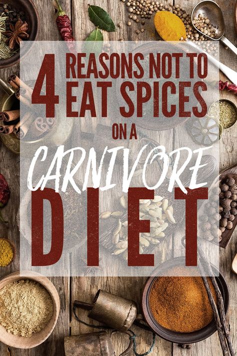 Women Carnivore Diet, Carnivore Diet Seasonings, Carnivore Diet Spices, Carnivore Diet For Women Over 50, Carnivore Diet For Beginners Meal Plan, Carnivore Diet For Women, Carnivore Diet Plan Women, Carnivore Diet Before And After Women, Carnivores Diet