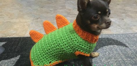 Crochet Dinosaur Dog Sweater, Crochet Patterns Dog Clothes, Crochet Dinosaur Sweater Free Pattern, Small Dog Sweater Crochet, Crochet Small Dog Hat, Crochet Dinosaur Hat For Dog, Crochet Dog Shirt, Crochet Pet Sweater, Dog Sweaters Crochet