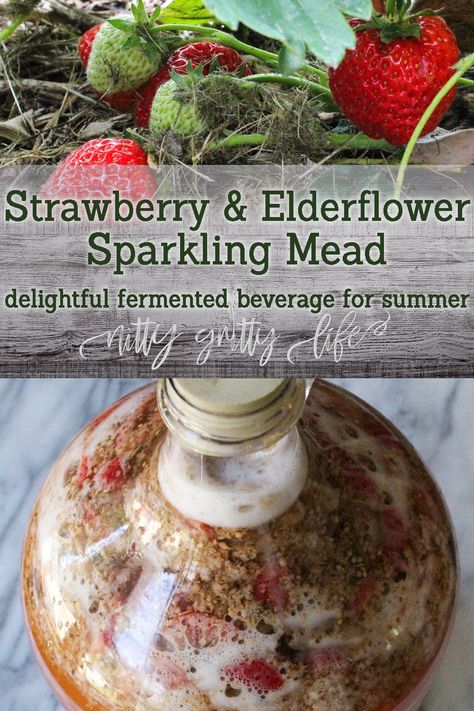 A drink fit for the fairy queen herself, this Strawberry Elderflower Mead Recipe is a divine treat to transport us mere humans to ethereal places. Ethereal Places, Elderflower Recipes, Mead Recipe, Foraged Food, Homemade Wine, Home Brew, Fermented Drink, Adorable Kittens, Fairy Queen