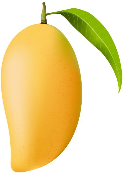 Mango Images Fruit, Mango Picture, Mango Painting, Mango Png, Mango Images, Mango Leaf, Best Png, Color Worksheets For Preschool, Leaf Png