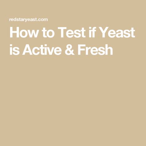 How to Test if Yeast is Active & Fresh How To Test If Yeast Is Good, How To Test Yeast, How To Proof Yeast, Red Star Yeast, Baguette Recipe, Liquid Measuring Cup, Dry Yeast, Yeast, Baking Recipes