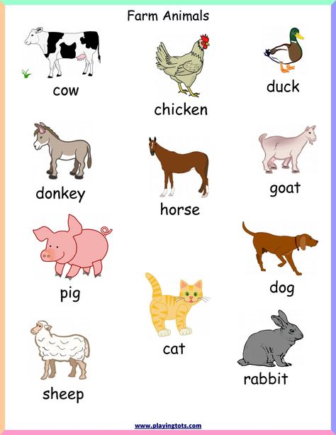 5 Farm Animals Games Preschool d8ae0ddccd884b26b8a9b ae17 Free Printable Farm Animals, Animals Chart, Printable Farm Animals, Farm Animals Games, Farm Animals For Kids, Farm Animals Pictures, Animal Pictures For Kids, Farm Animals Preschool, Farm Animals Activities