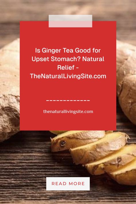 Ginger tea is often celebrated for its soothing properties, making it a popular remedy for upset stomachs. Packed with anti-inflammatory compounds, it can help ease nausea and promote digestion. Sipping ginger tea may provide natural relief when you need it most. Ginger Tea Recipe, Reduce Nausea, Nausea Relief, Digestive Juice, Digestive Tract, Stomach Issues, Peppermint Tea, Upset Stomach, Chamomile Tea