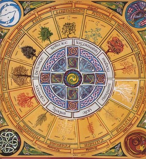 Celtic wheel of life Celtic Signs, Celtic Zodiac, Wiccan Sabbats, Pagan Rituals, Celtic Mythology, Medicine Wheel, Wheel Of Life, Celtic Art, Tarot Art