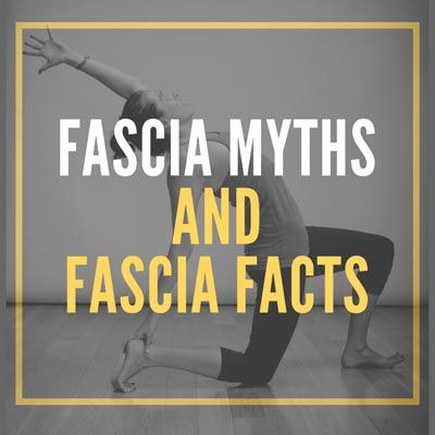 What Is Fascia, Fascia Stretching, Tissue Biology, Fascia Blasting, Fascia Blaster, Neck Tension, Lymph Vessels, Yoga Movement, Foam Rollers