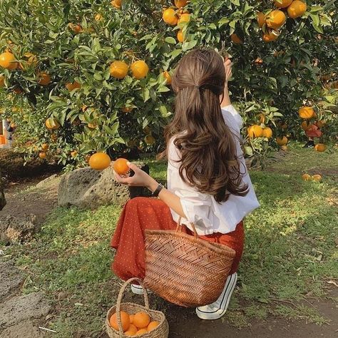 dreamer girl on Instagram: “🧡🍊🍏🧺👒 wish fruit do you love to collect yourself?🌼 princess #fair #fairytale #dreamygirl #goblincore #angelcore#dreamycopenhagen…” Cottage Core Aesthetic, Orange Tree, Retro Mode, Korean Aesthetic, Cottagecore Aesthetic, Spring Aesthetic, + Core + Aesthetic, 가을 패션, Nature Aesthetic