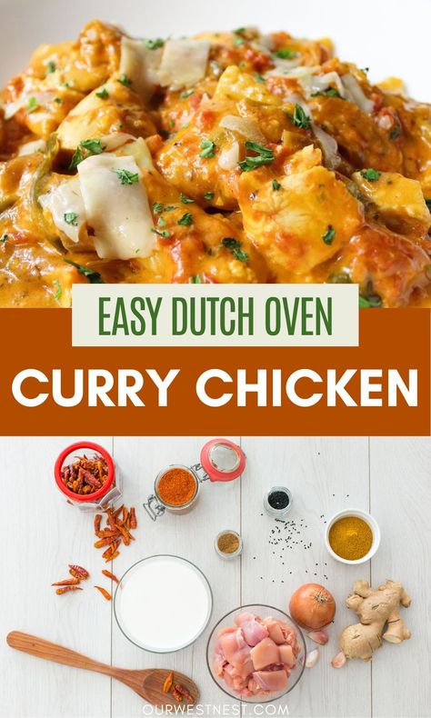 Dutch Oven Chicken Curry, Oven Curry Chicken, Indian Coconut Curry, Dutch Oven Chicken Breast, Curry Chicken Thighs, Dutch Oven Recipes Cast Iron, Dutch Oven Chicken, Turkey Curry, Thai Chicken Curry