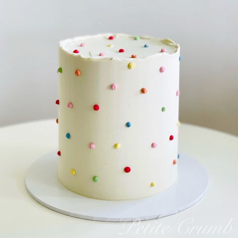 Round Sprinkle Birthday Cake, Modern First Birthday Cake, Colourful First Birthday Cake, Plain Cake With Sprinkles, Simple Fun Birthday Cakes, Tiny Smash Cake, Cute Simple Cake Decorating Ideas, Sprinkle Theme Cake, Sprinkles Wedding Cake