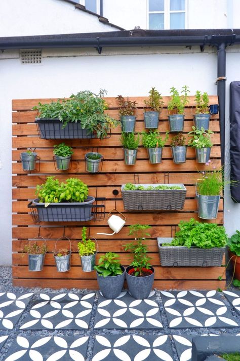 Vertical Herb Gardens, Herb Garden Wall, Outdoor Herb Garden, Hanging Herb Garden, Herb Wall, Diy Herb Garden, Vertical Garden Wall, Vertical Herb Garden, Walled Garden