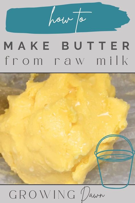 how to make butter from raw milk pin image Butter Recipes Homemade, Diy Butter, Make Butter, Farm Fresh Milk, Making Butter, Csa Recipes, Best Butter, Homemade Butter, Fresh Milk