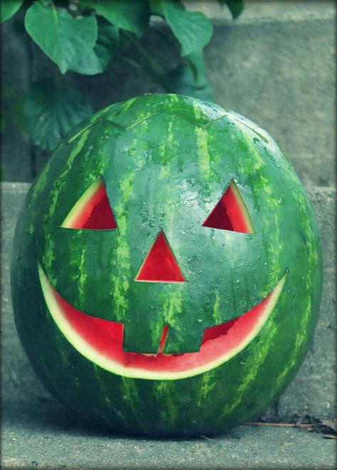 Watermelon Pumpkin! Ted Halloween, Lantern Tattoo, Silver Shamrock, Watermelon Decor, Watermelon Art, Watermelon Carving, Halloween Arts And Crafts, Halloween Countdown, Healthy Halloween