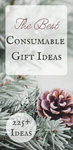 Consumable Christmas Gift Ideas, Christmas Goodie Bags For Adults Simple, Consumable Gifts For Kids, Practical Gifts For Adults, Neat Christmas Gift Ideas, Unisex Gifts Under $20, Consumable Christmas Gifts, Christmas Favors For Adults, Inexpensive Christmas Gifts For Family