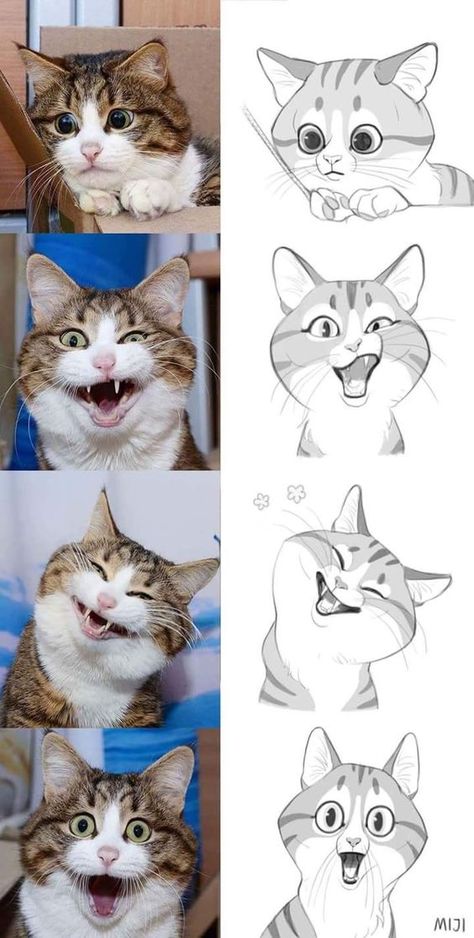 Pictures Of Cats, Cat Sketch, Söt Katt, 강아지 그림, Kraf Diy, Cat Eyes, Arte Animal, Drawing Tutorials, Facial Expressions