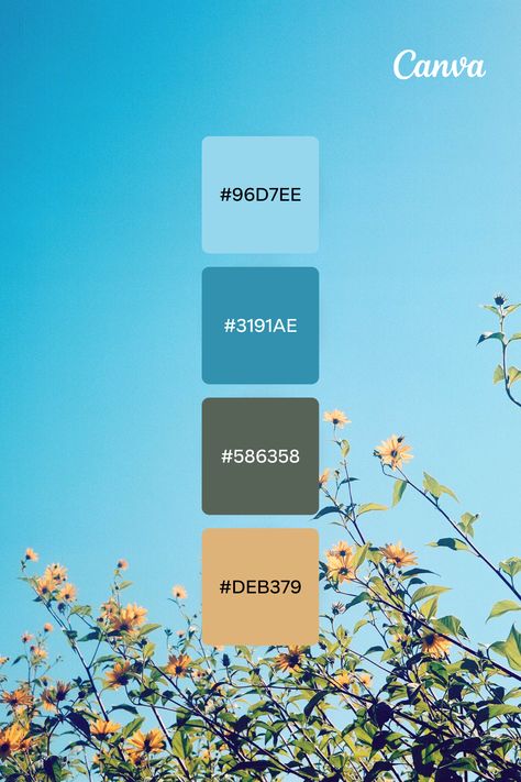 Cloudless skies, perennial flowers, blueberry frosting and glaciers, light blue is a timeless classic that offers inspiration everwhere. Light Blue Color Combinations, Instagram Branding Design, Blue Color Combinations, Pantone Palette, Instagram Branding, Hex Color Palette, Color Schemes Colour Palettes, Light Blue Background, Hex Colors