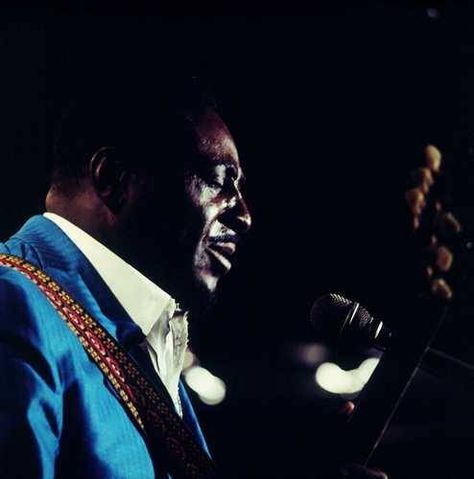 Albert King Blues Legend at Hilversum 1971 Albert King Blues, Albert King, Blues Musicians, Ray Vaughan, Stevie Ray Vaughan, Stevie Ray, Southern Rock, Blues Guitar, Music Images