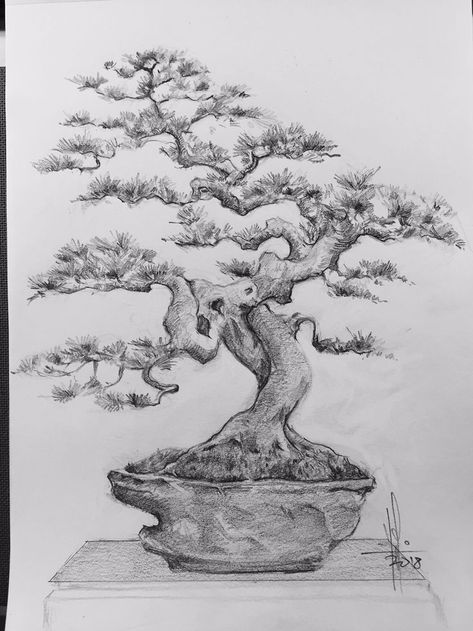 Bonsai Sketch Drawing, Bonsai Tree Drawing Sketches, Japanese Bonsai Tree Drawing, Bonsai Art Drawing, Bonsai Sketch, Bonsai Tree Drawing, Bonsai Tree Tattoo, Bonsai Tree Painting, Bonsai Tree Art