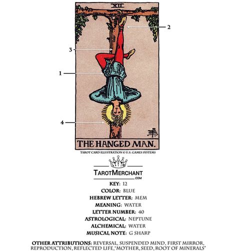 Hanged Man – Tarot Card Meaning with Video – TarotMerchant The Hangman Tarot Meaning, Hangman Tarot Meaning, The Hanged Man Tarot Meaning, Kartu Tarot, Hanged Man Tarot, Rider Waite Tarot Cards, Tarot Interpretation, Hanged Man, Rider Waite Deck