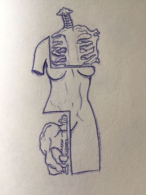 Skeleton Torso Drawing Easy, Half Body Half Skeleton Drawing, Aesthetic Drawing Skeleton, Skeleton Sketch Easy, Body Skeleton Drawing, Skeleton Easy Drawing, Skeleton Art Drawing Easy, Skeleton Art Easy, Skeleton Art Simple