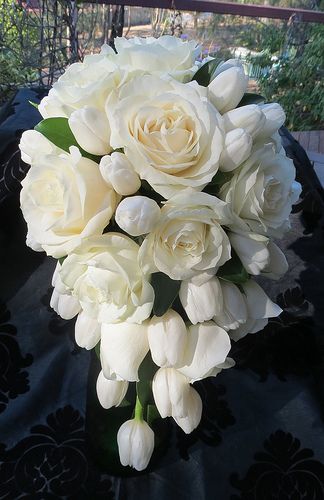 Rose and Tulip Teardrop Bouquet | www.fbdesign.com.au T49 Iv… | Flickr Wedding Bouquet Tulips And Roses, Bride Tulip Bouquet, Tulips And Roses Bouquet, White Teardrop Bouquet, Tulip Hand Bouquet Wedding, Quince Tulip Bouquet, Teardrop Bouquet, Bridal Bouquet Flowers, White Tulips