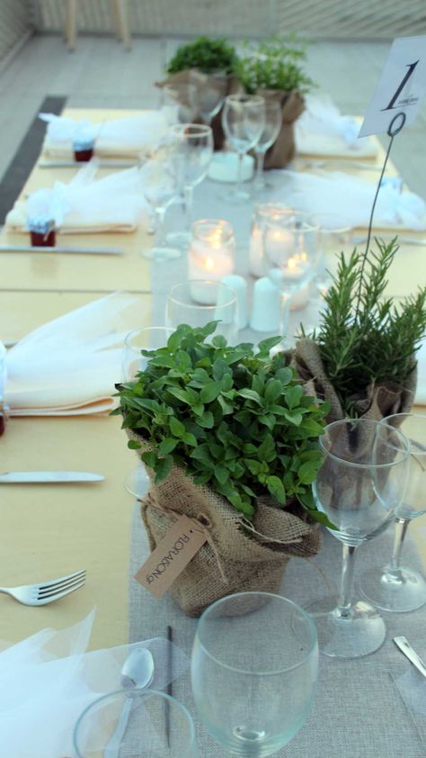 Wedding decoration with greek herbs. Basil, rosemary and many others greek plants in burlap for the guest's tables. Basil Wedding Decoration, Herbs Table Decoration, Herb Wedding Decor, Herbs Wedding Decor, Rosemary Centerpiece, Greek Plants, Wedding Herbs, Candle Theme Wedding, Herb Decor