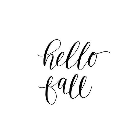 Fall Captions, Normal Is An Illusion, Welcome Wood Sign, Fall Cottage, Fall Wood Signs, Fall Quotes, Insta Captions, Autumn Quotes, Autumn Scenes