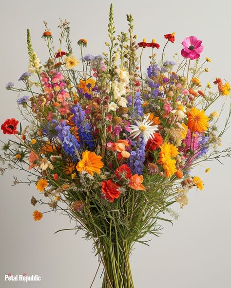 Mixed Bouquet Aesthetic, Vibrant Flowers Aesthetic, Summer Wildflower Color Palette, Flowers Safe For Cats, Flower Bouquet Colorful, Wildflower Arrangements, Wild Floral Arrangements, Mixed Flower Bouquet, Colorful Flower Bouquet