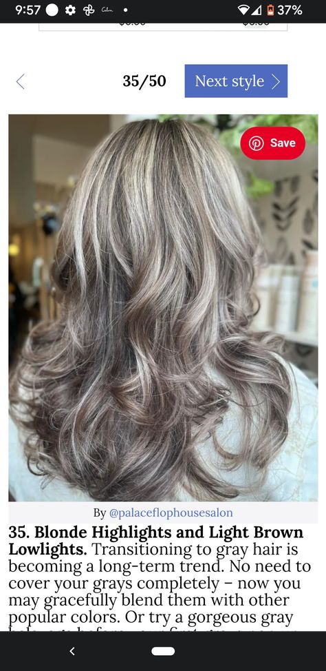 Grey Hair Lowlights, Transitioning To Gray Hair, Natural White Hair, Brown Lowlights, Gray Highlights, Blue Grey Hair, Black And Grey Hair, Grey Hair Care, Grey Hair Over 50