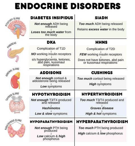 Endocrine Disorders #Endocrine #Endocrine_disorders Hormone Chart Endocrine System, Nclex Endocrine System, Endocrine Disorders Nursing, Endocrine System Notes, Pathophysiology Notes, Pathophysiology Nursing, Nursing School Studying Cheat Sheets, Nursing Study Tips, Medical Notes