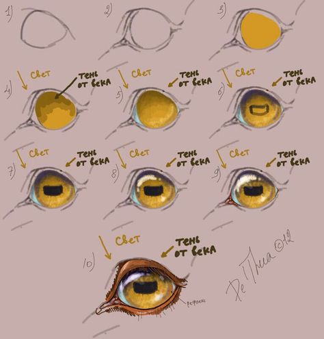 Painting animal eyes Horse Drawing Tutorial, Drawing Horses, Horse Art Drawing, Horse Sketch, Horse Anatomy, Eye Painting, Horse Drawings, Horse Drawing, Hobby Horse