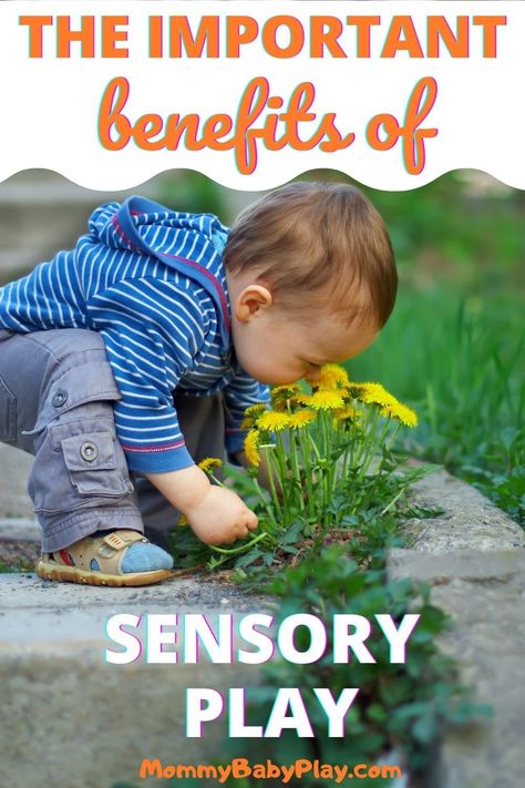 Sensory Bin Benefits, Benefits Of Sensory Bins, Sensory Play Benefits, Benefits Of Sensory Play, Sensory Play Quotes, Sensory Play Toddlers, Mindful Activities, Toddler Sensory Bins, Natural Learning