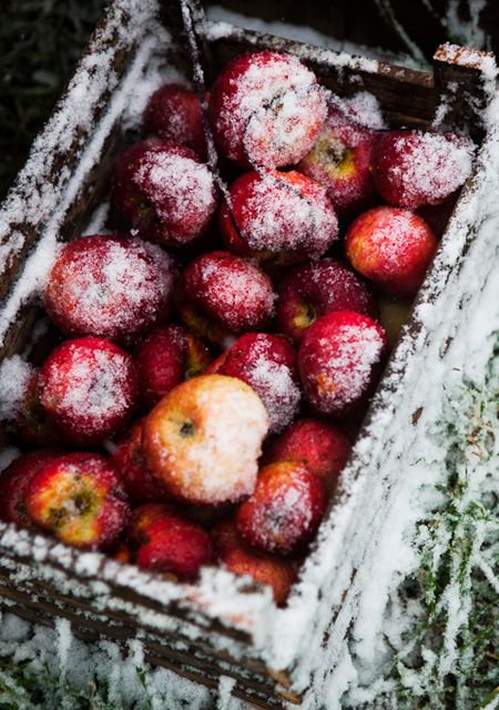 Stylist Laura Ferrara's Apple Harvest Feast 11:00 AM / September 24, 2012 / Posted by Bon Appetit Family Supper, Apple Season, Wild Apple, I Love Winter, Winter Love, Apple Harvest, Apple Orchard, Winter Wonder, Apple Tree