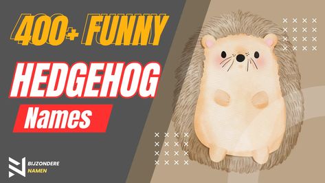 "A heartwarming collection of witty and adorable hedgehog names, perfect for pet owners and those who appreciate the charming quirks of these spiky companions." Hedgehog Names, Albino Hedgehog, Baby Hedgehogs, Funny Hedgehog, Baby Hedgehog, Spike Lee, Funny Names, Cute Hedgehog, Cute Names