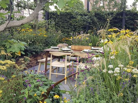 RHS Chelsea Flower Show 2021 gardening trends Backyard Seating Area, Box Garden, Hardy Geranium, Chelsea Garden, Rhs Chelsea Flower Show, Minimalist Garden, Gardening Trends, Garden Show, Small Outdoor Spaces