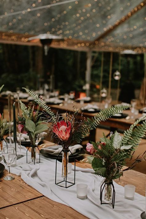 Protea Wedding Decor, Party In The Woods, Tree Wedding Ceremony, Squamish Bc, Protea Wedding, Safari Wedding, Modern Wedding Reception, Glamping Tents, South African Weddings