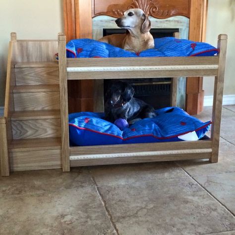 Needed! Tall Dog Bed, Dog Bunk Beds, Pallet Dog House, Dog Bedroom, Cute Dog Beds, Custom Dog Beds, Diy Dog Crate, Dog Corner, Dog House Bed