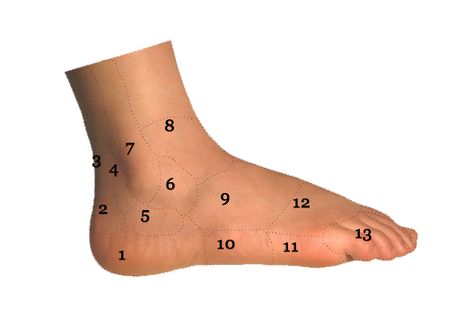 Sol Foot & Ankle Centers specializes in a wide array of foot and ankle conditions and surgery. Get relief for your foot and ankle pain in Long Beach, CA Foot Pain Chart, Lisfranc Injury, Ankle Pain Relief, Ankle Fracture, Calf Cramps, Foot Anatomy, Ankle Pain, Foot Pain Relief, Nerve Pain Relief