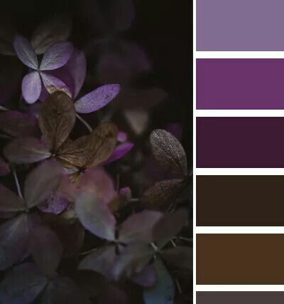 Brown And Lavender Aesthetic, Brown Purple Color Palette, Deep Purple Color Palette, Yarn Aesthetic, Different Types Of Yarn, Dark Plants, Exterior Paint Schemes, Chocolate Palette, Purple Yarn