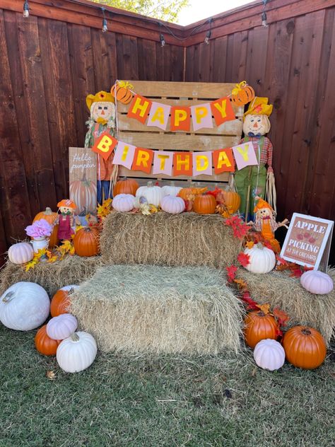 Pumpkin Patch Centerpiece, Fall Birthday Party Decorations Easy Diy, Pumpkin Photo Booth, Pumpkin Patch Decorating Ideas Indoor, Pumpkin Patch Birthday Party Decorations, Pumpkin Patch Decorating Ideas, Backyard Pumpkin Patch, Henny Cake, Home Pumpkin Patch