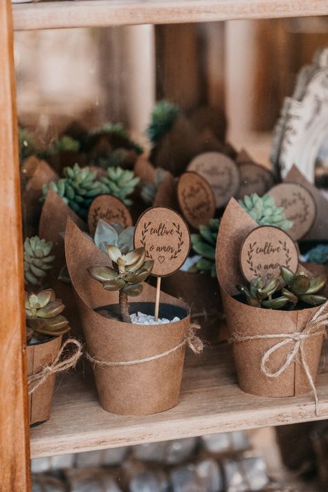 Rustic Bridal Shower Favors, Diwali Gift Hampers, Spring Wedding Favors, Succulent Wedding Favors, Plant Party, Winter Wedding Favors, Best Wedding Favors, Wedding Favors Fall, Rustic Wedding Favors